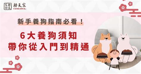 養狗注意事項|【養狗指南】5大新手必看注意事項(含養狗花費、疫苗。